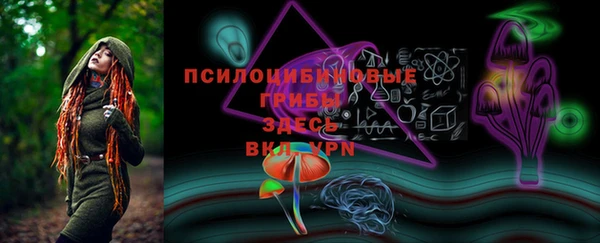 дурь Алексеевка
